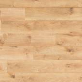 Century Oak