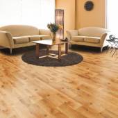 Century Oak